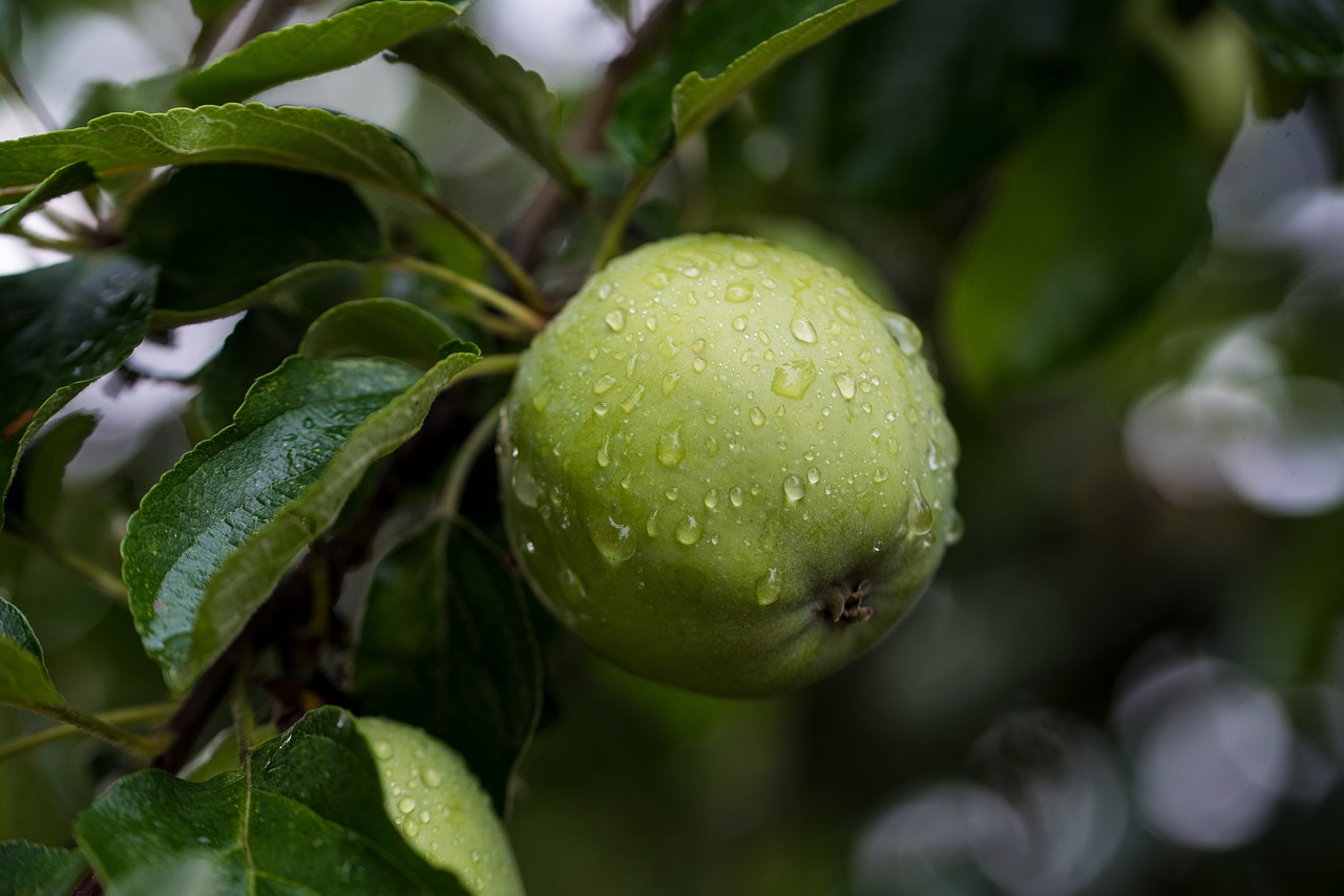 feuchtigkeitsspendende pflege für geschmeidige und hydratisierte haut – entdecken sie unsere produkte für intensive hautbefeuchtung.