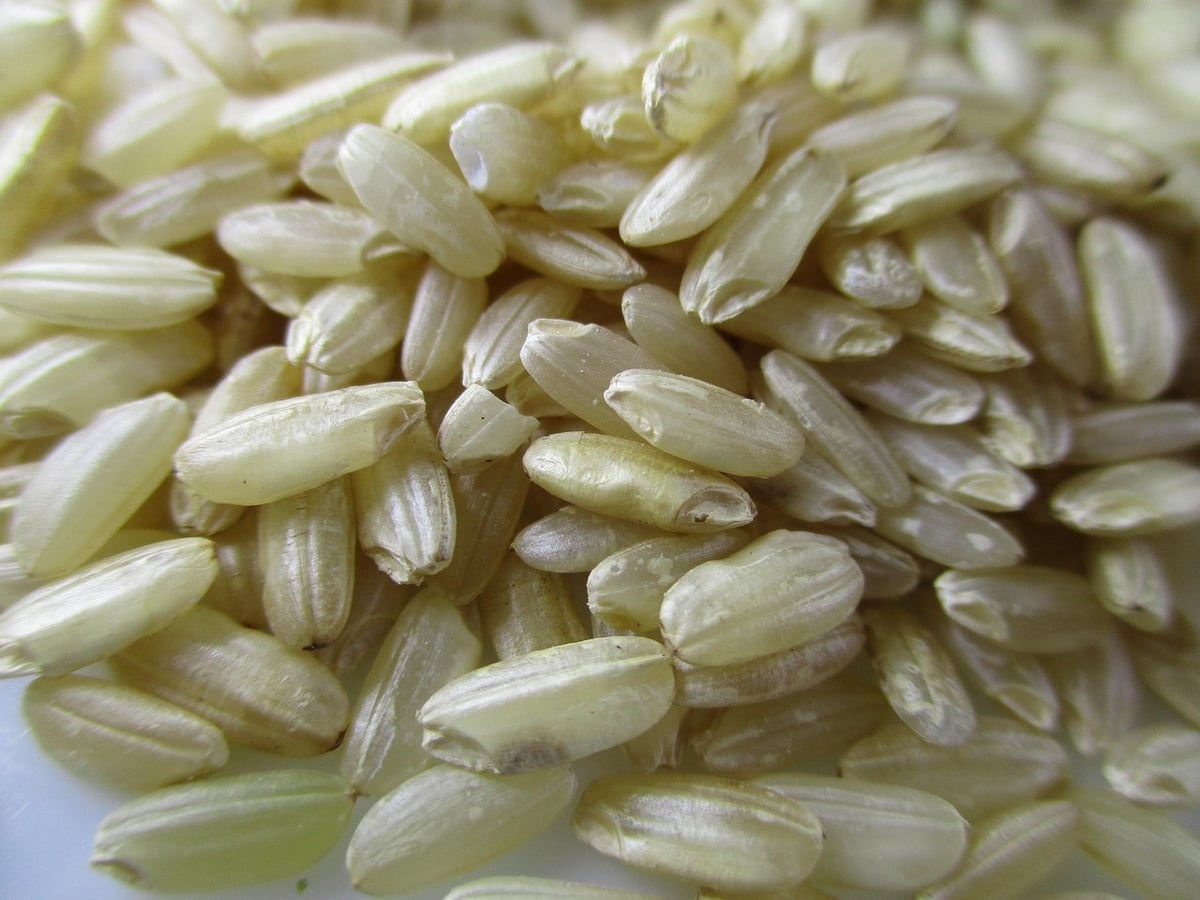Risotto perfekt zubereiten: Cremig und köstlich