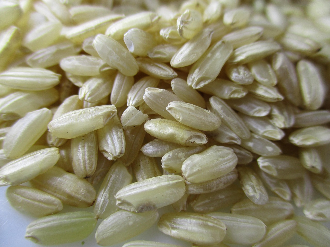 Risotto perfekt zubereiten: Cremig und köstlich