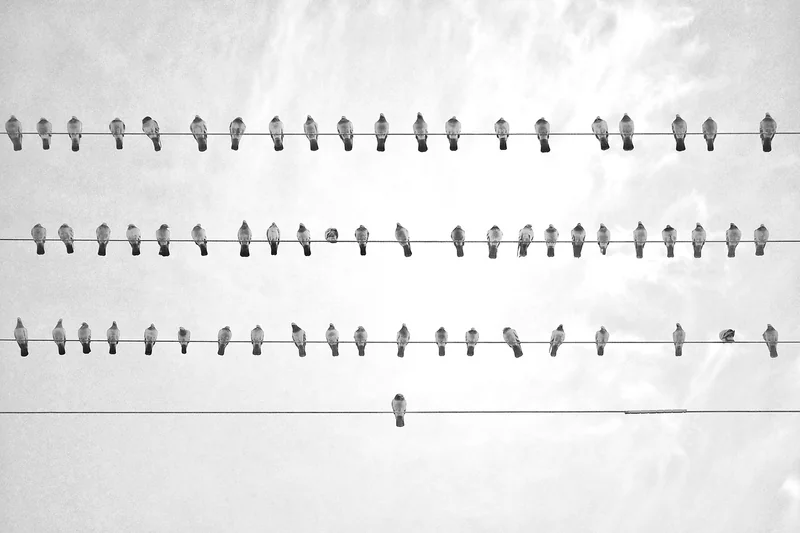 Wie gestaltet man ein erfolgreiches Online-Business?