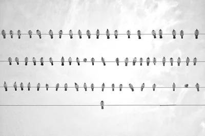 Wie gestaltet man ein erfolgreiches Online-Business?