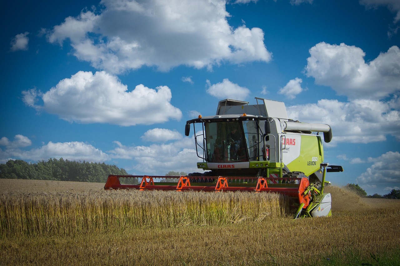 entdecken sie die besten strategien zur maximierung der mietrendite. erfahren sie, wie sie ihre investitionen optimieren und eine konstante einnahmequelle durch immobilien generieren können.