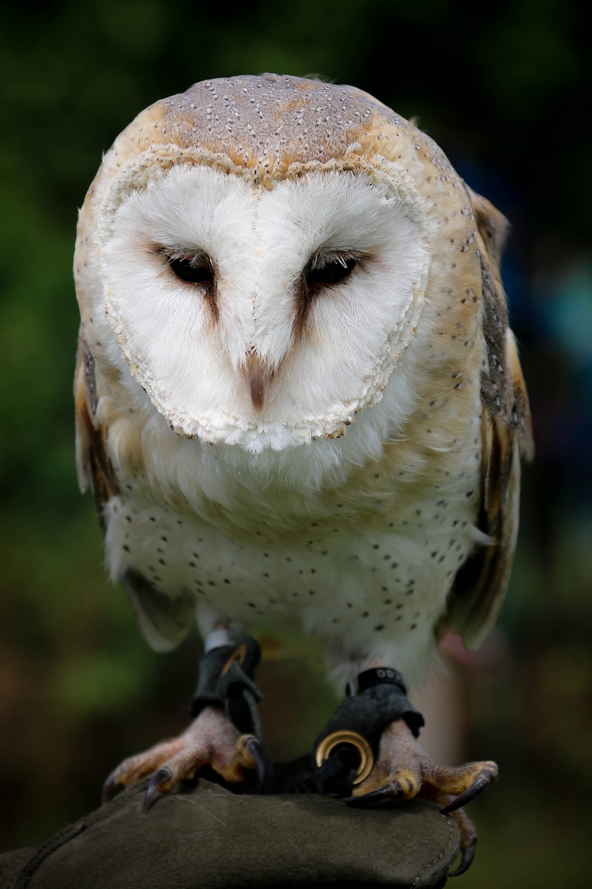 effektive augenübungen zur verbesserung der sehkraft und zur entspannung der augenmuskulatur. entdecken sie einfache techniken für gesündere augen.
